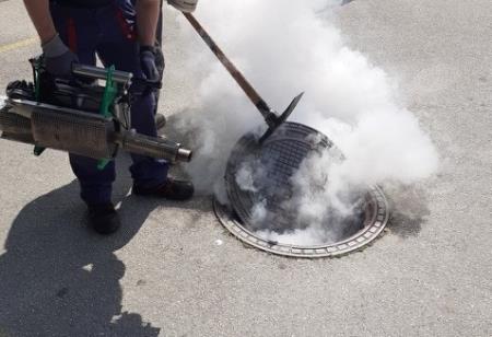 Ponovna dezinsekcija javne kanalizacije v Izoli